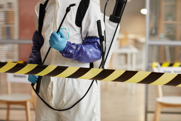 Professional Hoarding Cleanup technician working in Bertram, TX